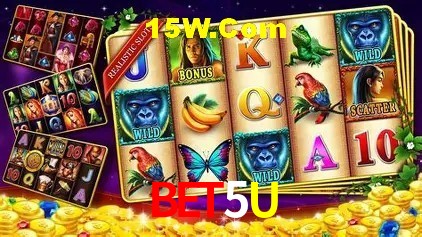 Bet5U Brasília - Bonus Features